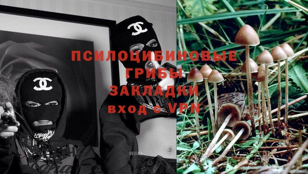 а пвп мука Медвежьегорск